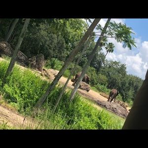 Meet your Posher, Shamine